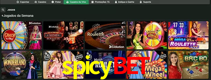 spicybet bet