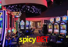 Segurança 2FA spicybet
